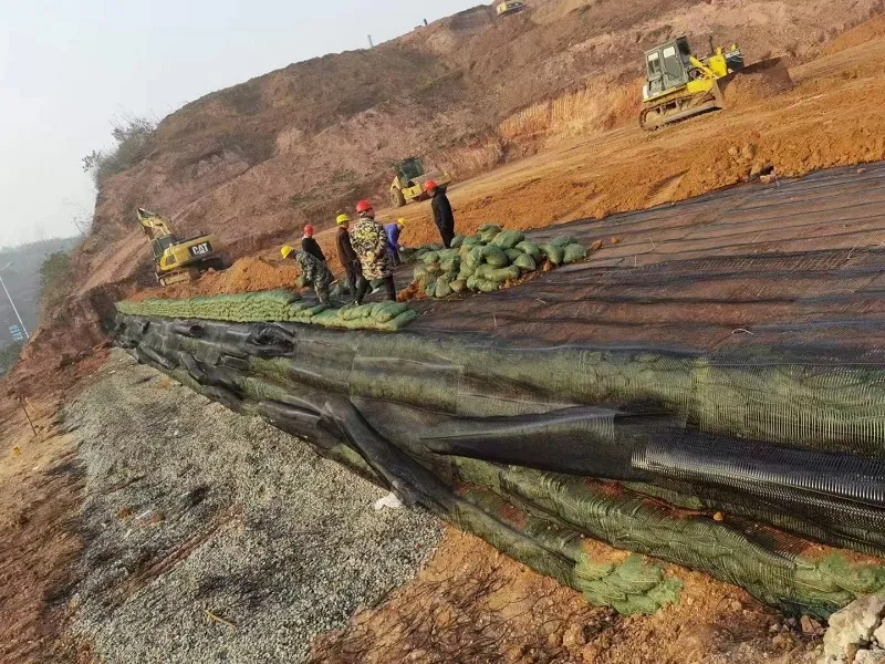 Erosion Prevention